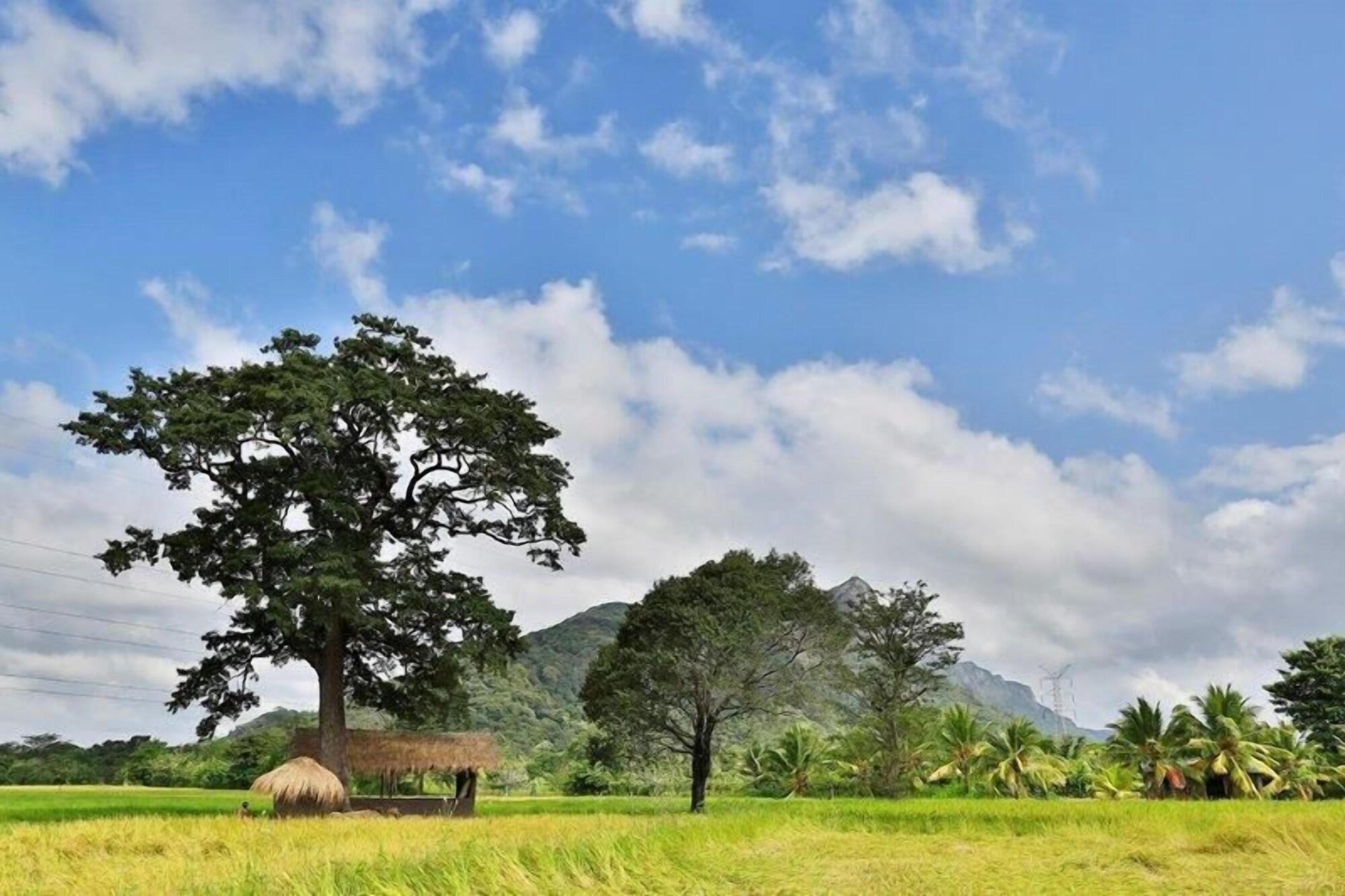 Kalundewa Retreat Otel Dambulla Dış mekan fotoğraf
