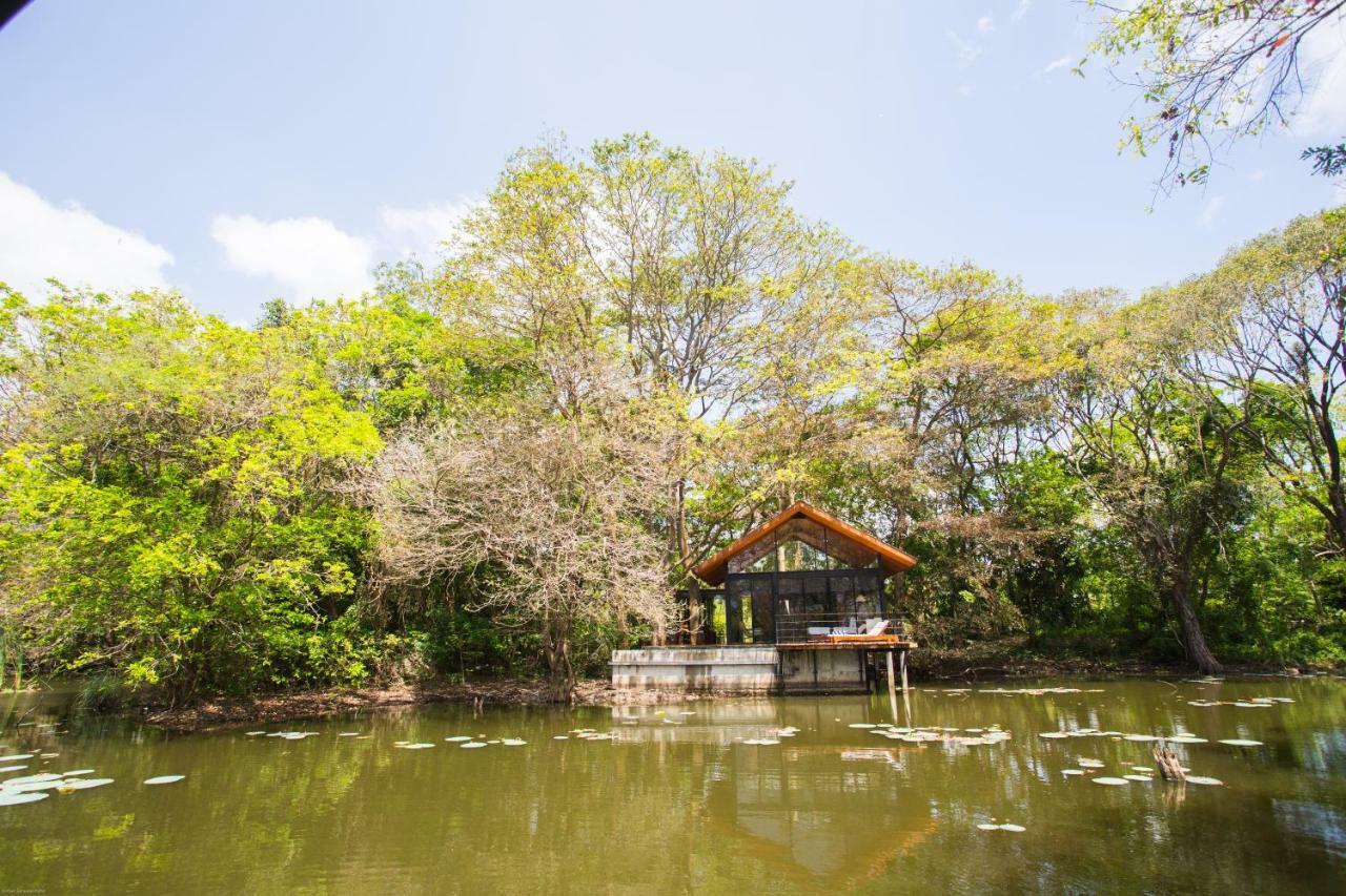 Kalundewa Retreat Otel Dambulla Dış mekan fotoğraf